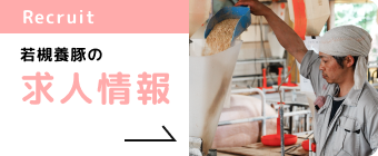 求人情報