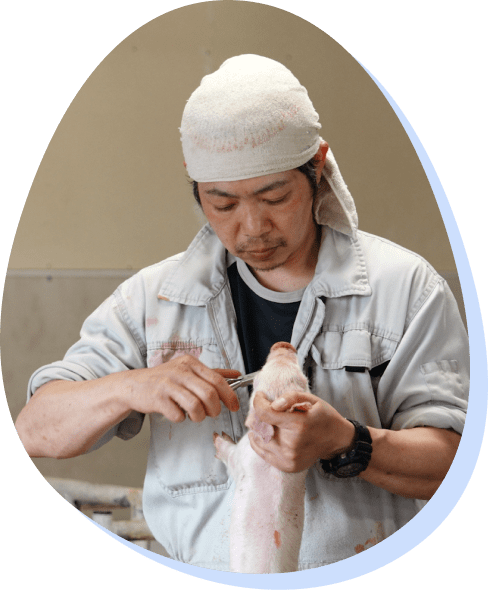 豚舎の清鎖・消毒の様子