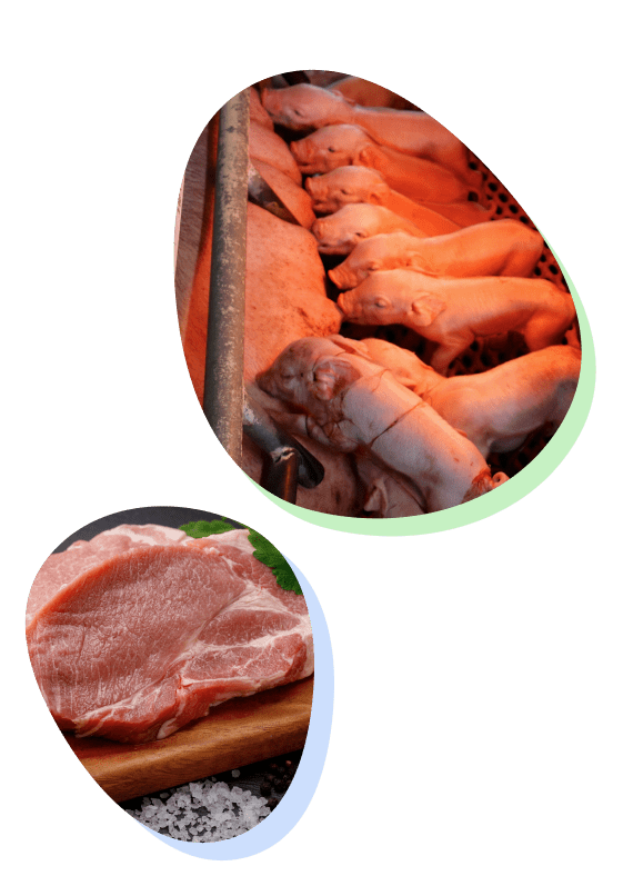 おいしさの秘密と新鮮な肉質